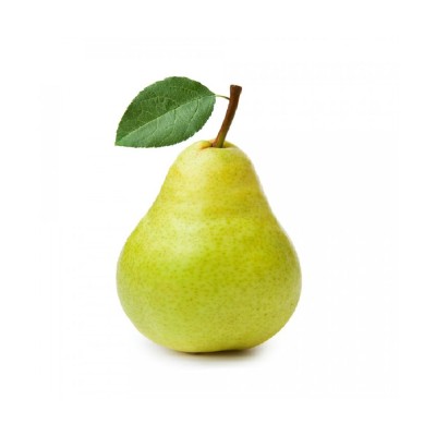 Fresh Standard Quality Babugosha /Nashpati