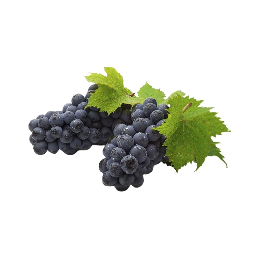 Farmer Live Plant Grape Fruit Black Grapes